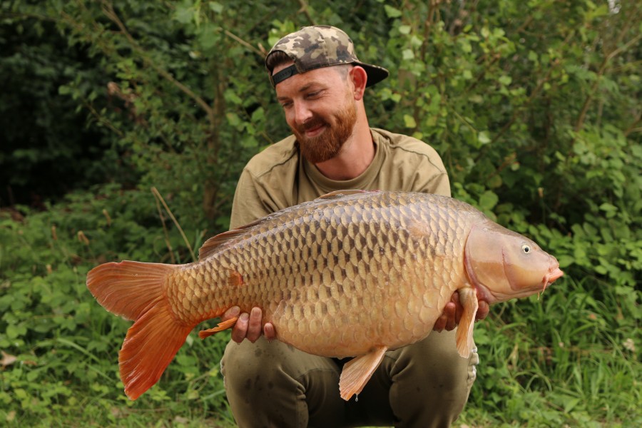 Deacon Ollie - 29lb 12oz - Turtles Corner - 28/08/2021