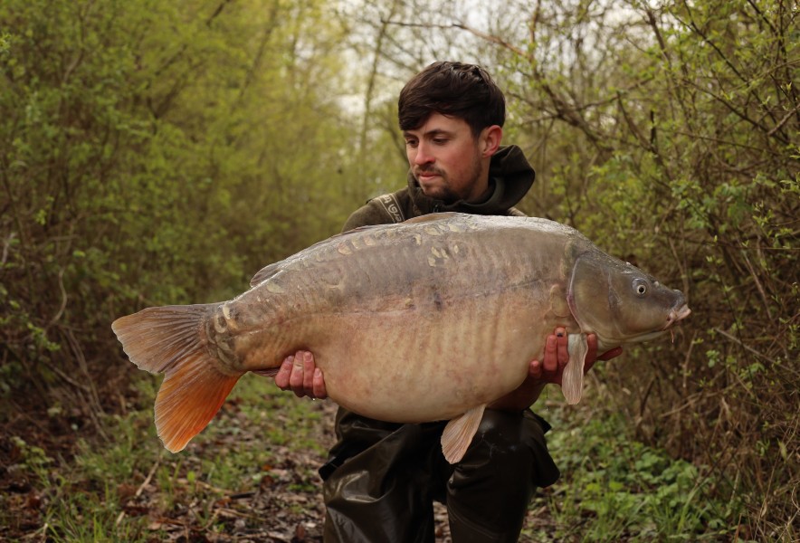 Wade Kennerley - Turtles - 45lb - 21/03/2026