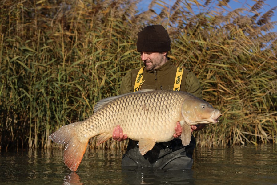 Harry Ingram - 44lb - Tea Party 2 - 15/11/2025