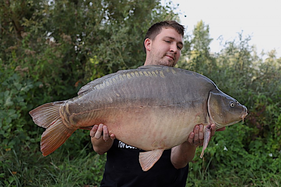 Steve Mead, 36lb 12oz, Turtle Corner, 25.8.18