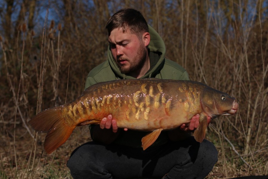 Jack Link, 22lb, Turtles corner, 23/03/19