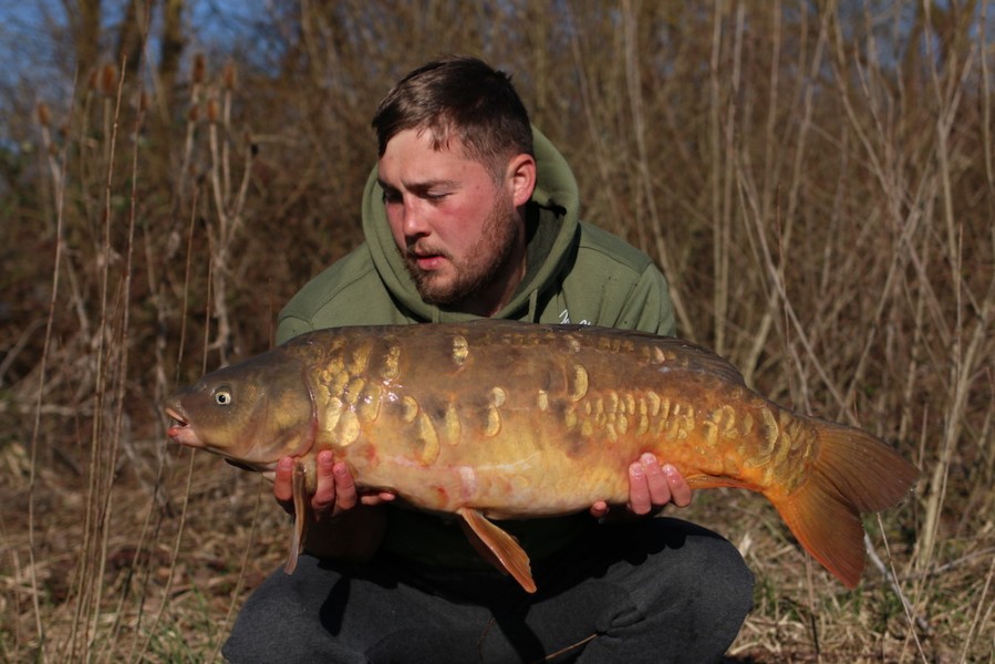 Jack Link, 22lb, Turtles corner, 23/03/19