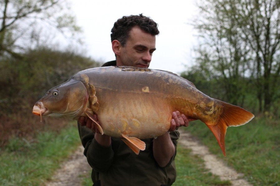 Martijn Markwat, 31lb 4oz, Turtles Corner, 06/04/19