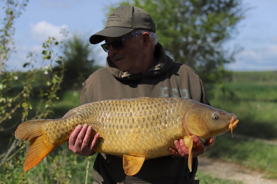 John Daly, 20lb, Turtle Corner, 27.4.19