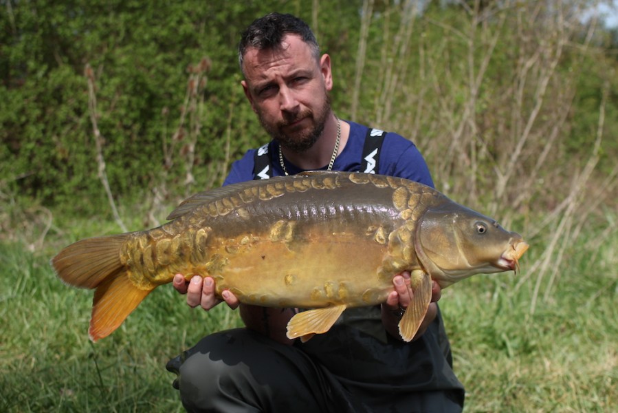 Terry Ingram, 19lb 8oz, Turtles Corner, 20.4.19