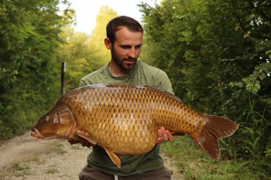 Jordan Chadwick - 38lb 4oz - Decoy - 20/07/2024