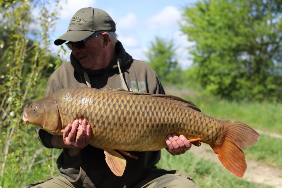 John Daly, 31lb 8oz, Turtle Corner, 27.4.19