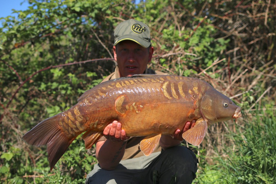 Shane Farrelly, 25lb, Shingles, 11/05/19