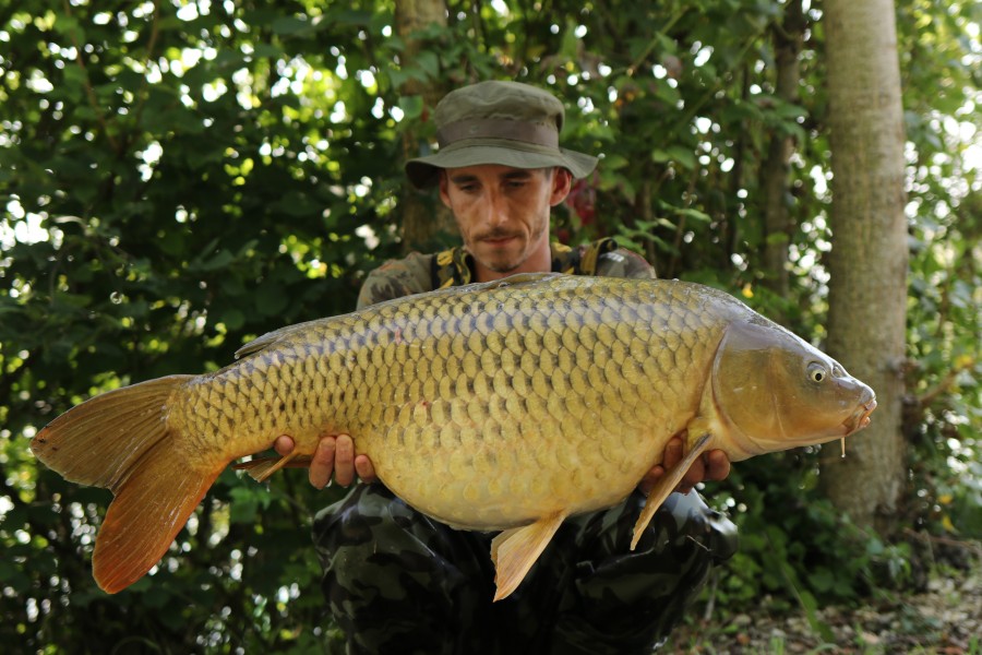 Shane Hull - 31lb - Decoy - 07/08/2021