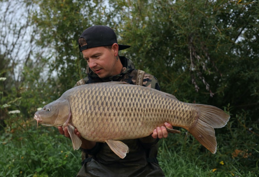 Dan Caister - 31lb - Shingles - 26/08/23