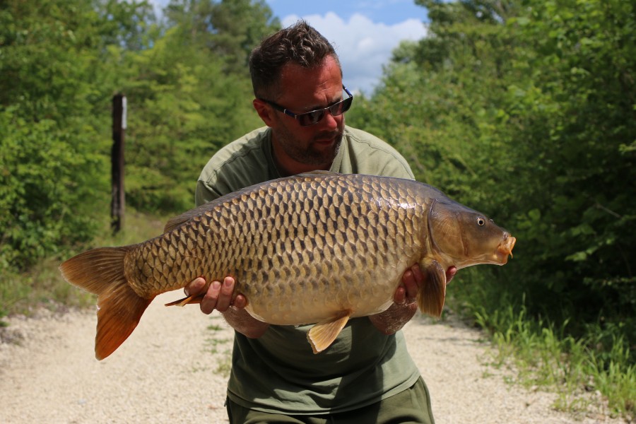 Neil Budd, 27lb 4oz, Decoy, 08/06/19