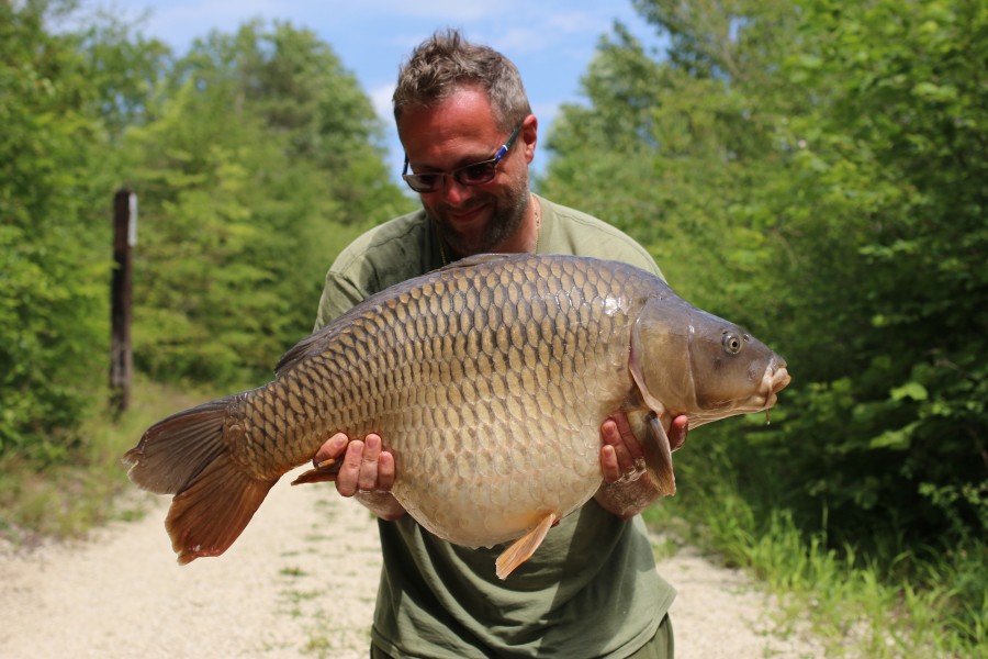 Neil Budd, 34lb 12oz, Decoy, 08/06/19