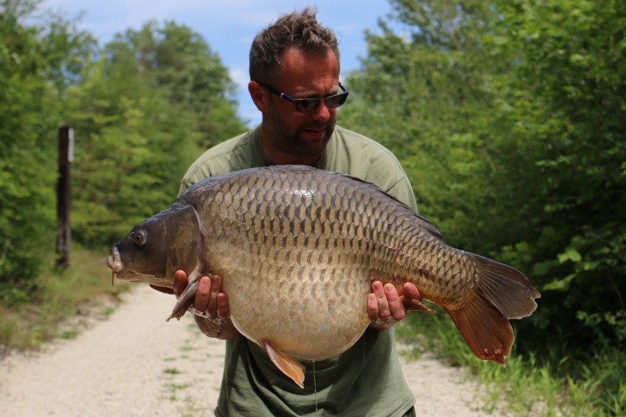 Neil Budd, 34lb 12oz, Decoy, 08/06/19