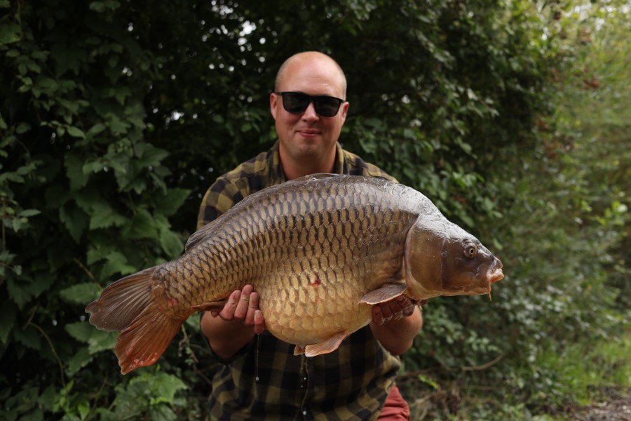 rob Rees - 36lb 6oz - Brambles - 05/08/23