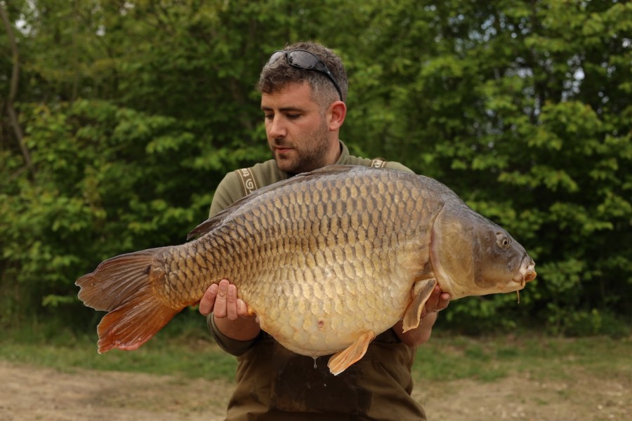 Joe Payton, 36lb 14oz, Tea Party 1, 19/04/2025