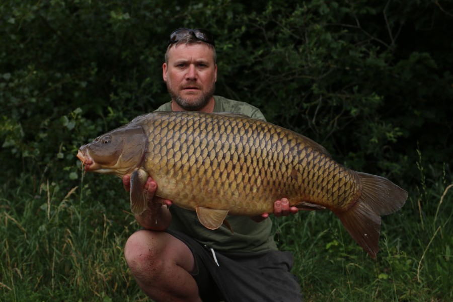 James Newton, 31lb, Tea Party, 15/06/19