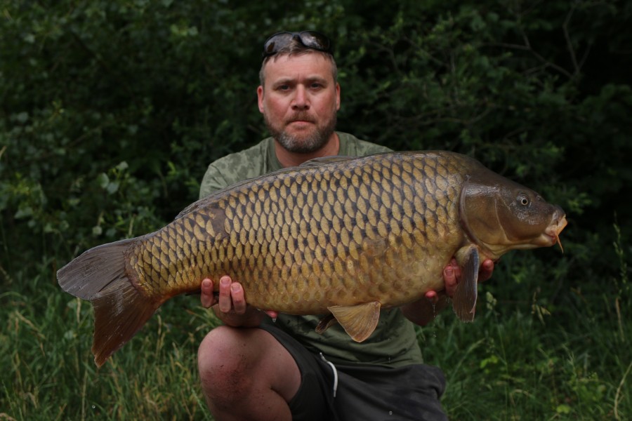 James Newton, 31lb, Tea Party, 15/06/19