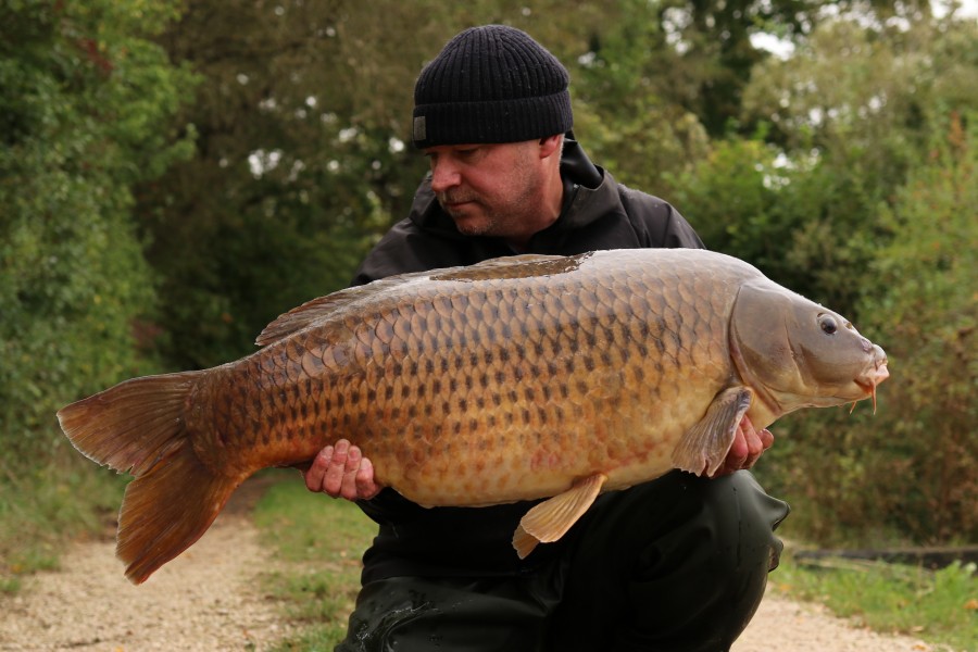 Dave Bendall - The Beach - 38lb - 28/09/2024