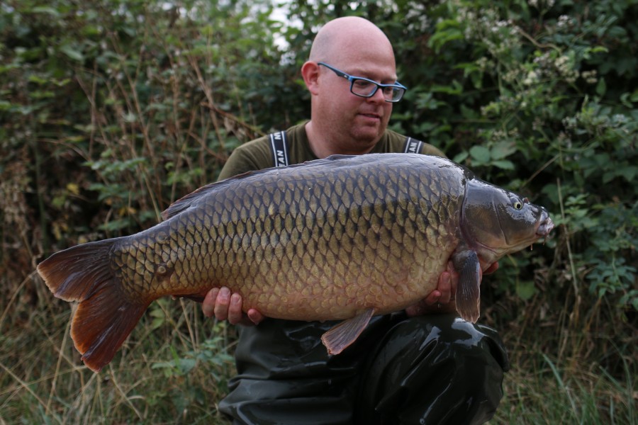 Phil Evans, 31lb 8oz, Bacheliers, 03/08/19