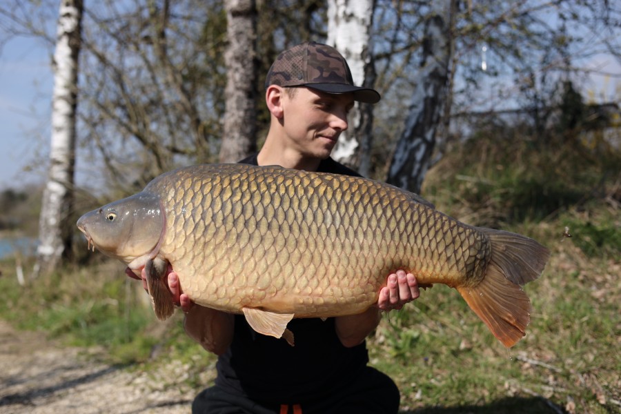 Luke Harman - 41lb - Beach - 16/03/2024