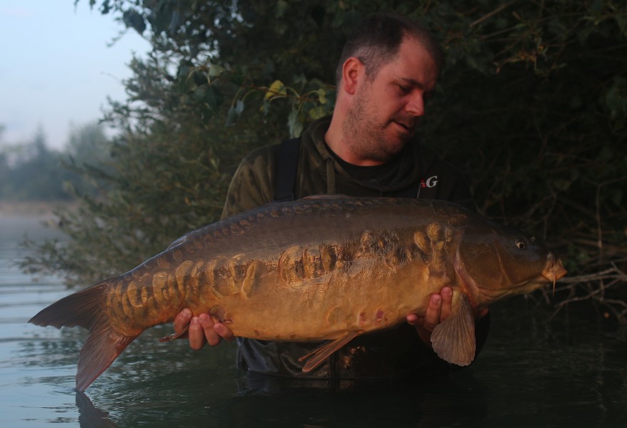 Nick Sutton, 31lb 4oz, Brambles, 03/08/19