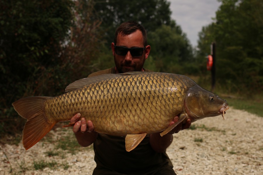 Adam Greenwood, 31lb 4oz, The Poo, 03/08/19