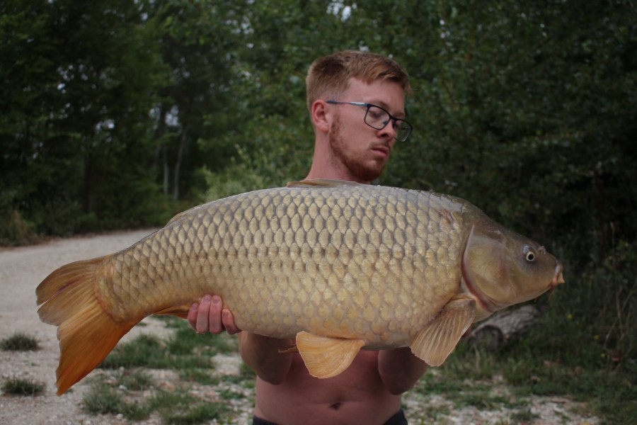 Jason Hewitt, 26lb, Tea Party, 10/08/19