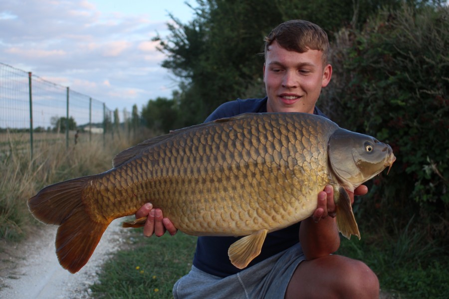 Archie Roe, 28lb 12oz, Shingles, 10/08/19