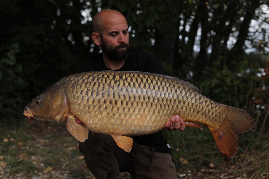 Scott Larman, 33lb 12oz, Tea Party, 31/08/19