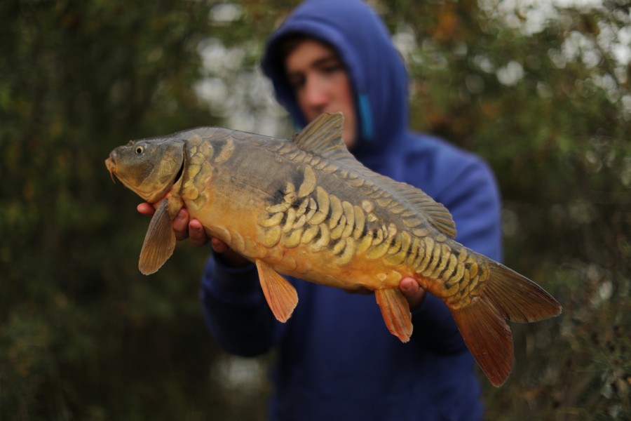6lb 4oz