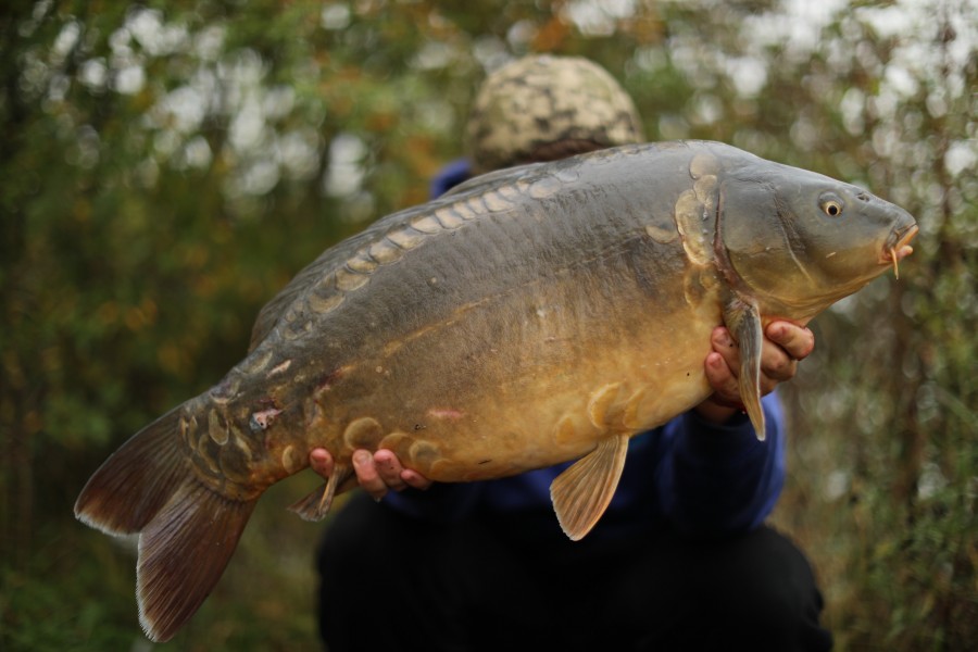 21lb 4oz