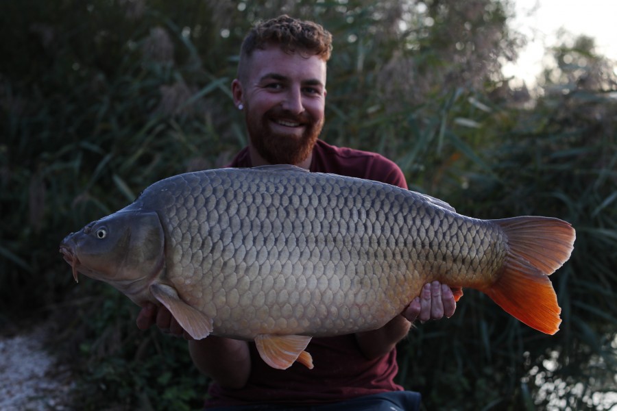 Oscar Thornton, 28lb 4oz, Beach, 21/09/2019