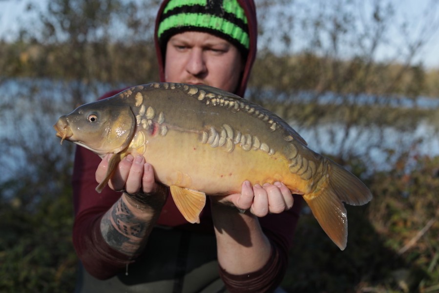 2019 - Fish 028 - 6lb 8oz