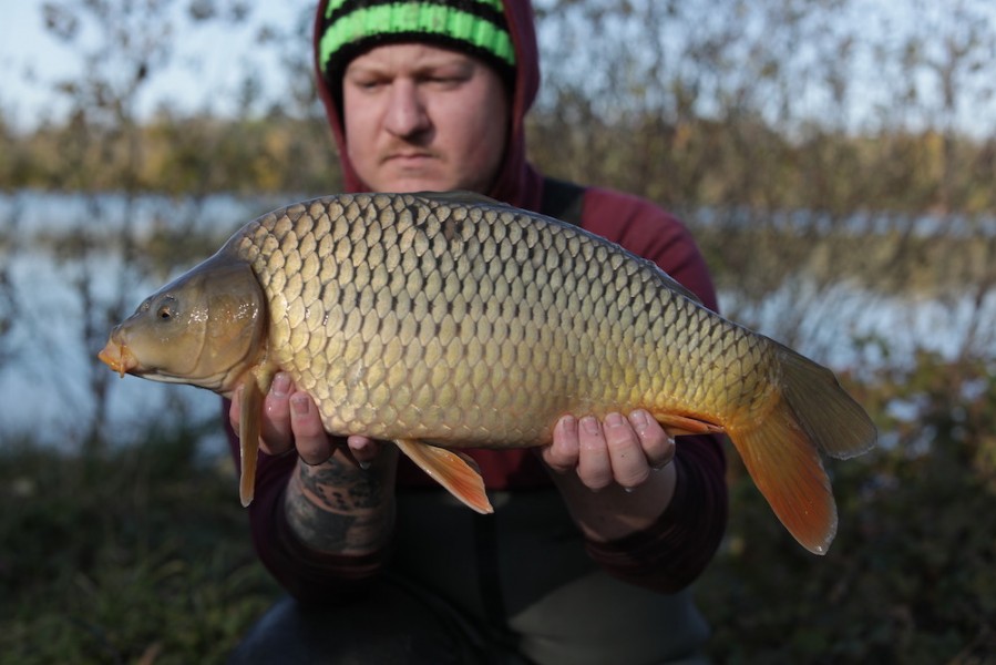 2019 - Fish 035 - 7lb