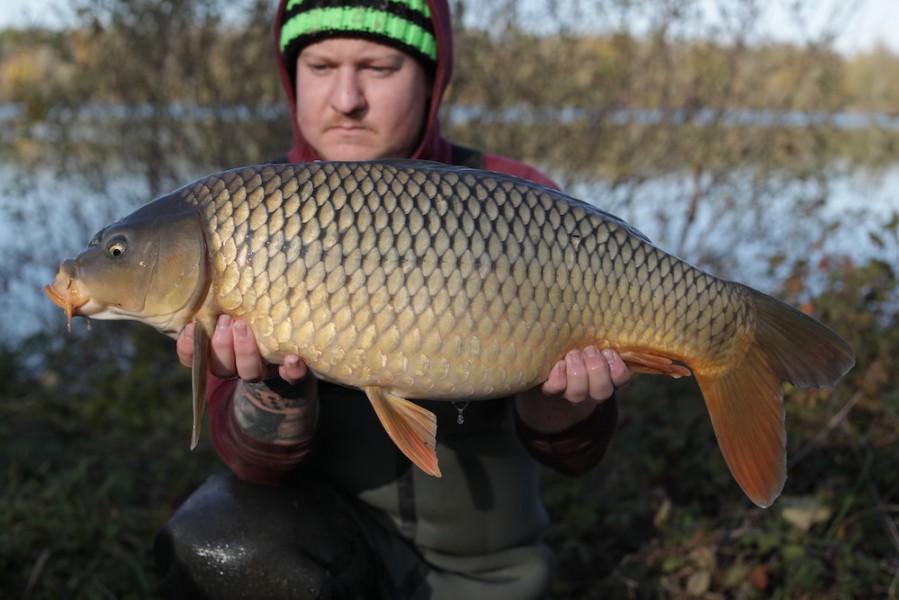 2019 - Fish 036 - 15lb 4oz