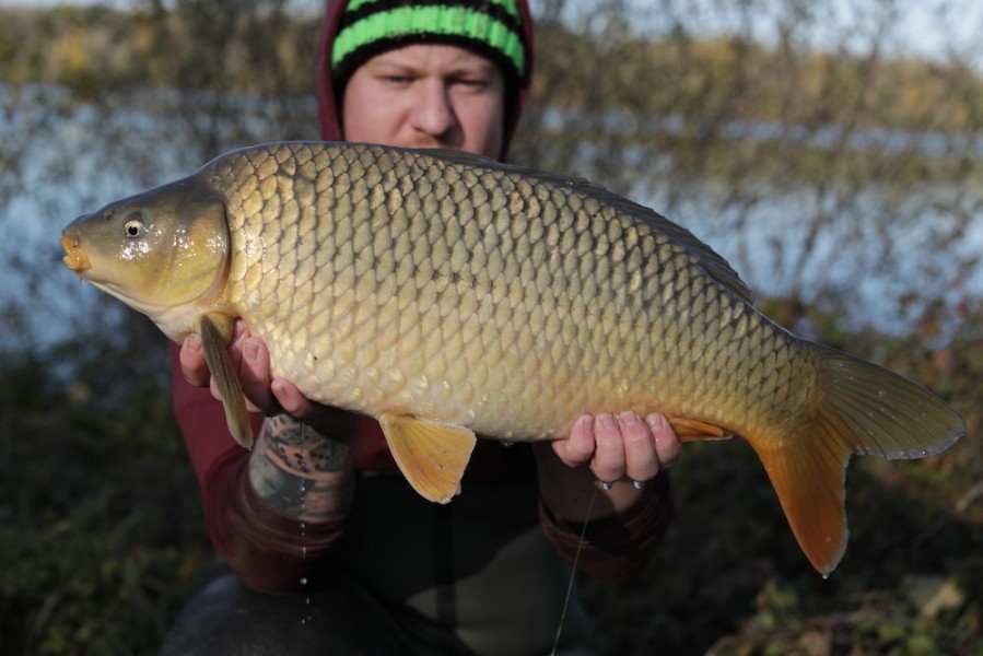 2019 - Fish 038 - 11lb 4oz