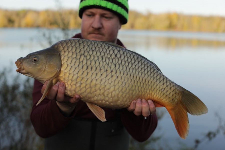 2019 - Fish 040 - 8lb 8oz