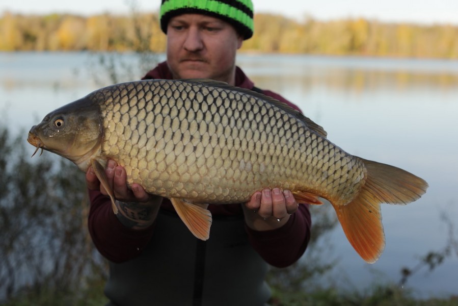 2019 - Fish 041 - 11lb