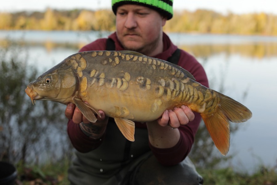 2019 - Fish 060 - 7lb 12oz