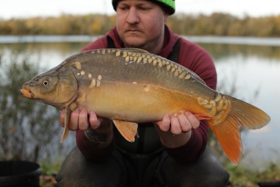 2019 - Fish 076 - 8lb 8oz