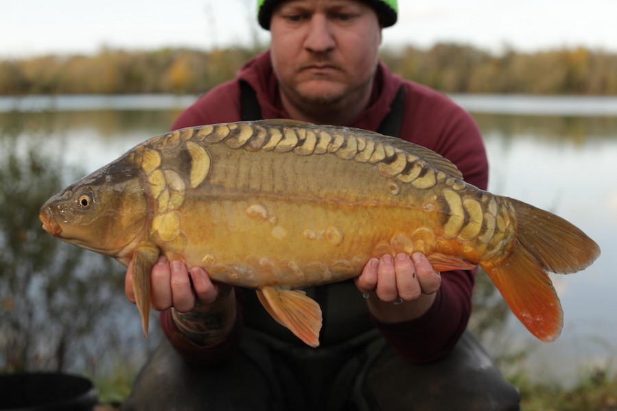 2019 - Fish 077 - 8lb 12oz