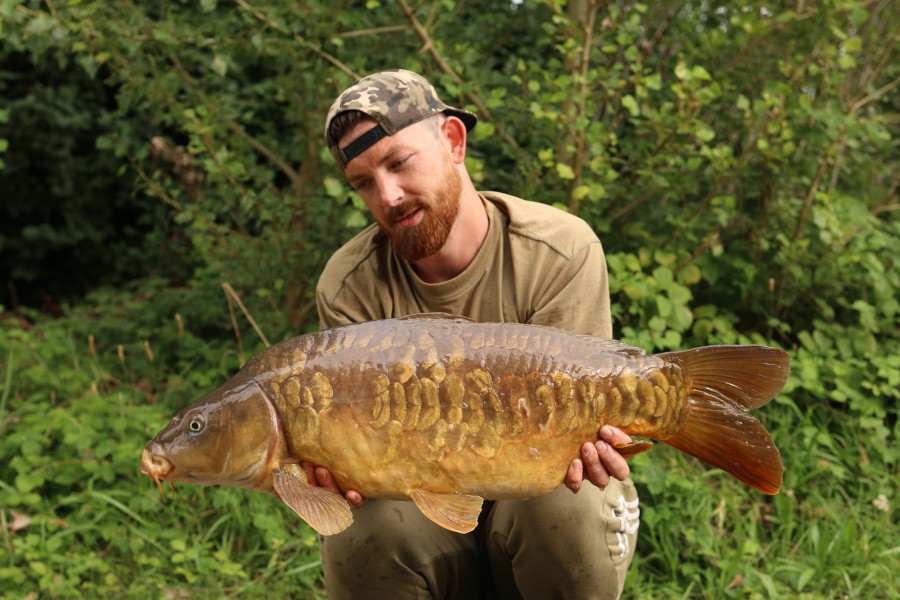 Deacon Ollie - 23lb - Turtles Corner - 28/08/2021