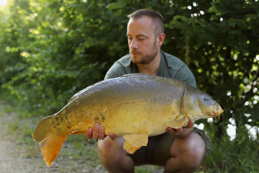 Martin Syring, 15lb 8oz, Decoy, 20.06.20