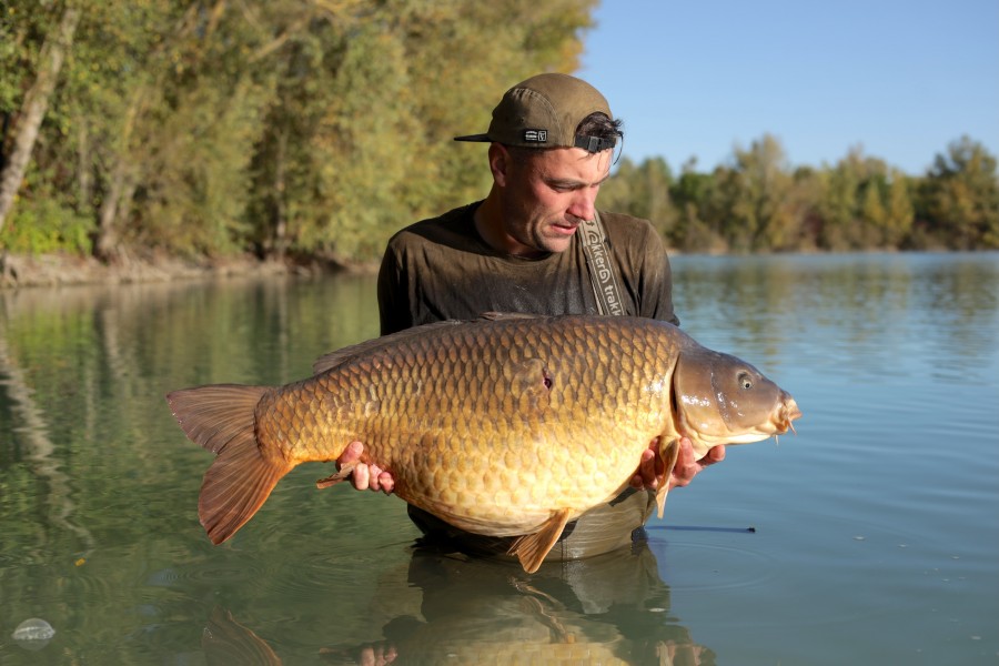 Tom Atkin - 51lb 8oz - Tea Party 1 - 10/10/2026