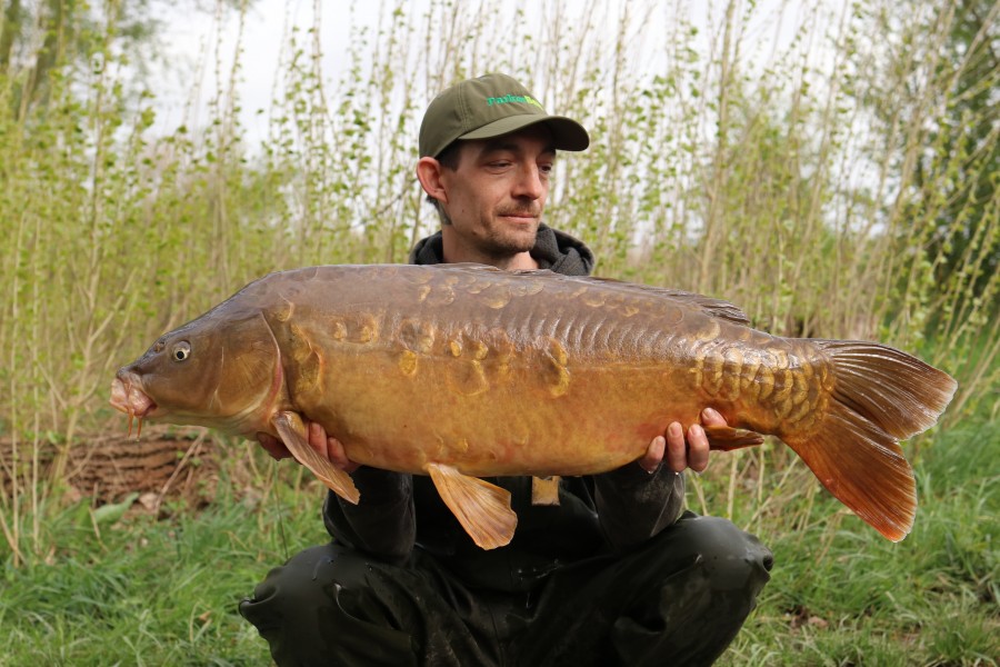 Anthony Thompson - Turtles Corner - 06/04/24