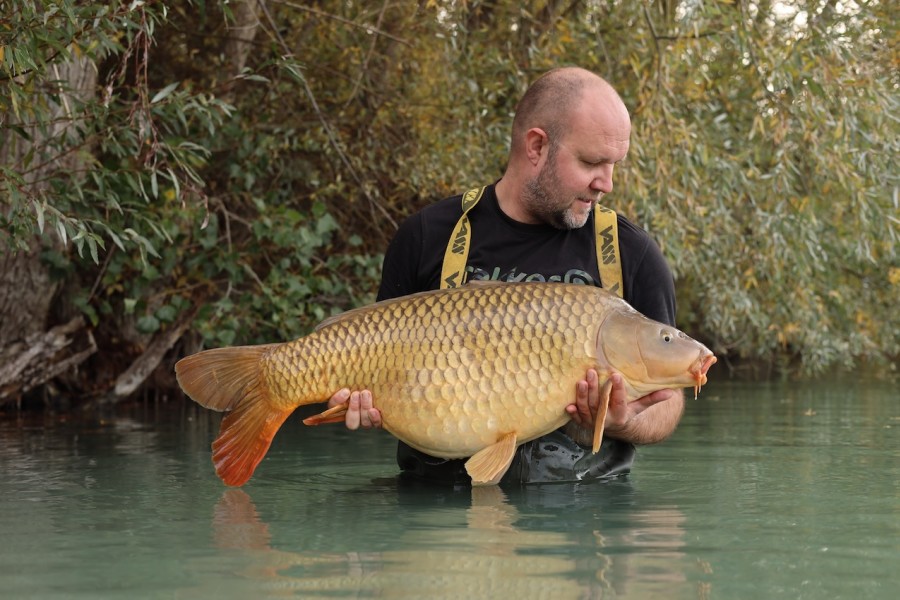 Gavin Middlebrook, 36lb 12oz, Turtles Corner, 25/10/2025
