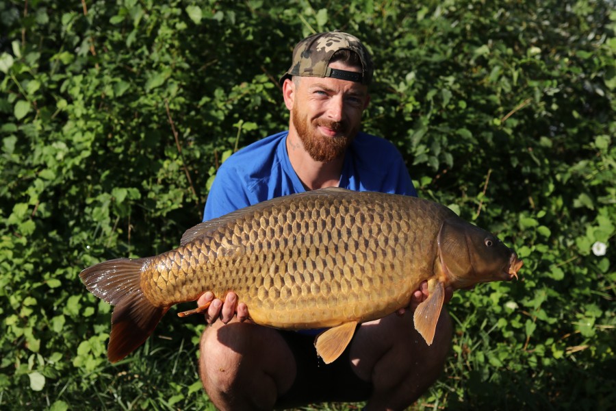 Deacon Ollie - 29lb 4oz - Turtles Corner - 21.08.2021