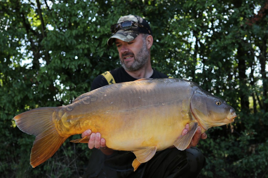 Andy Lewis - 36lb 8oz - Beach - 21.08.2021