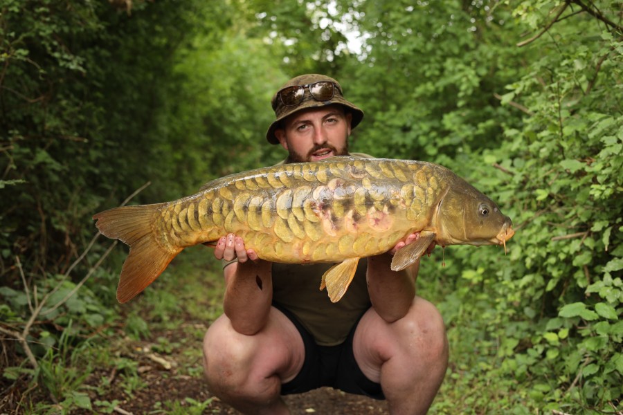 Matthew Pole, 22lb, Turtles Corner, 26/07/2025