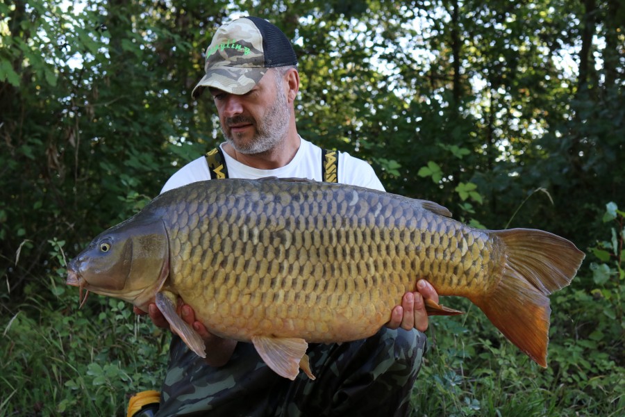 Andy Lewis - Tea Party 1 - 36lb 13oz - 17/09/2022